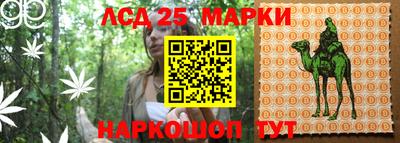 амфетамин Кингисепп