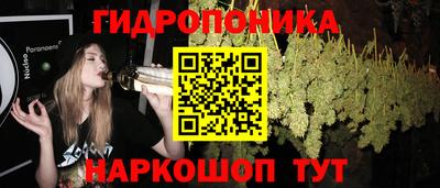 дмт Кимры