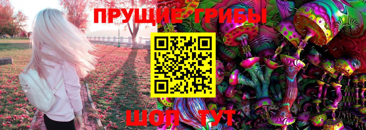 Котлас  Псилоцибиновые грибы MAGIC MUSHROOMS  Вход с VPN 