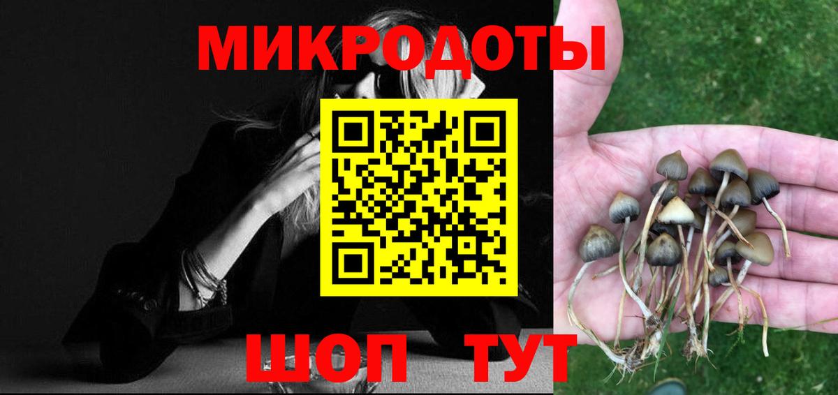 Галлюциногенные грибы прущие грибы Котлас